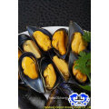 seafood frozen blue mussel meat with half shell